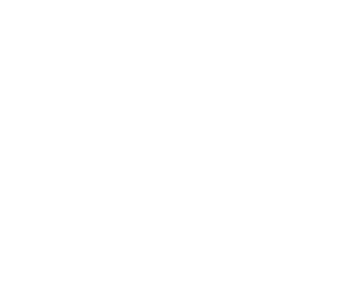 birddog